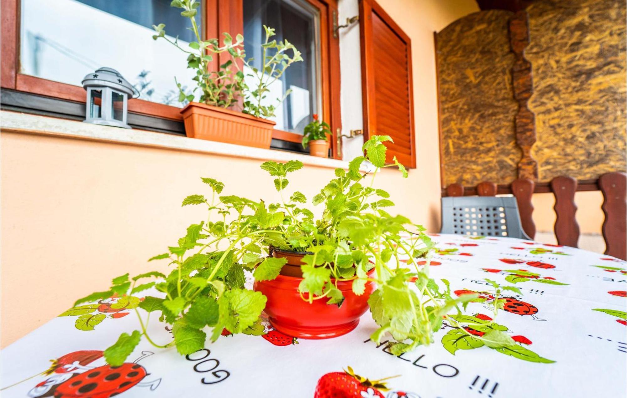 Amazing Apartment In Krnica With Kitchen Kültér fotó